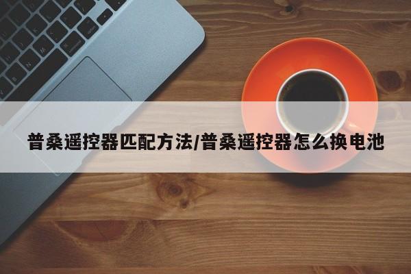 普桑遥控器匹配方法/普桑遥控器怎么换电池