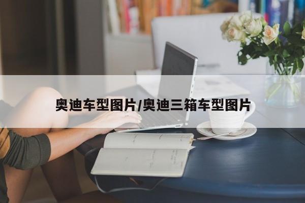 奥迪车型图片/奥迪三箱车型图片